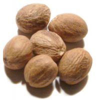 Nutmeg seed x 3 